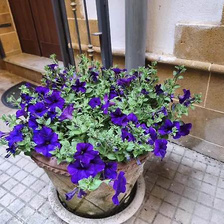 Casa Damarete * Agrigento